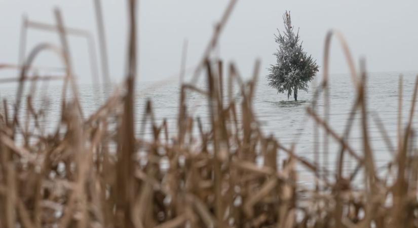 Karácsonyfát állítanak a Balatonba