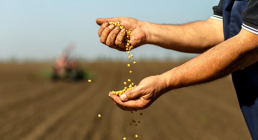 Döbbenetes, ami az élelmiszerárakkal történik: ezt jó, ha mindenki tudja