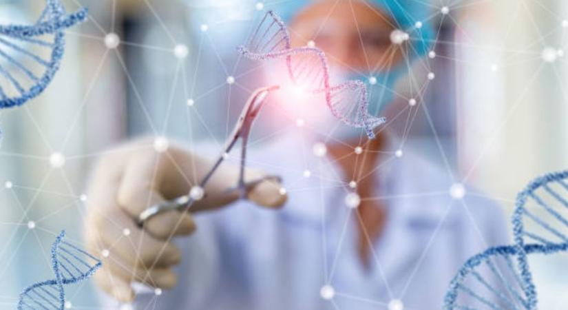 Most nyílik a génolló: jönnek a klímatűrő növények