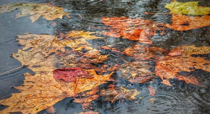 Átlag feletti csapadékösszeget hozott a november hazánkba