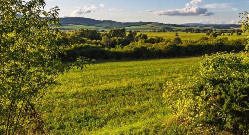 Lenullázza az állományt, ahol megjelent – veszélyes kór közelít Heves felé
