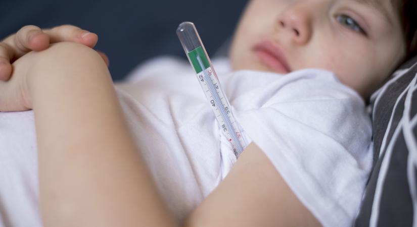 Calicivírus okozta a tömeges megbetegedést