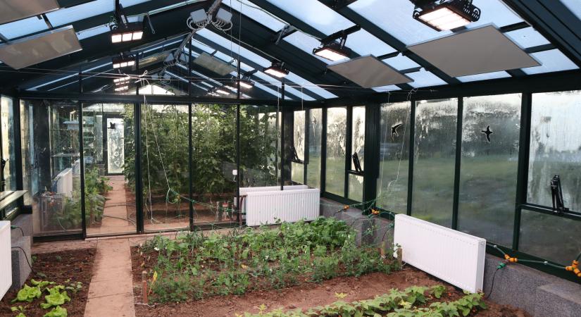 Évszaktól független termelés, már elérhető a hazai technológia az agráriumban