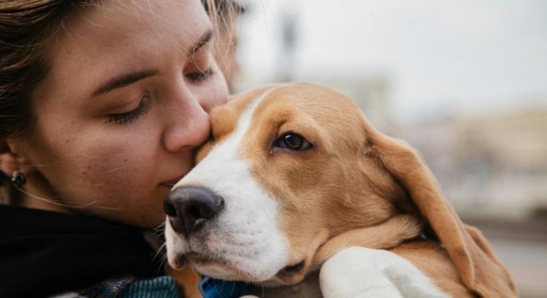 Ha ezt csinálja a kutyád, mélyebben kötődik hozzád, mint hinnéd