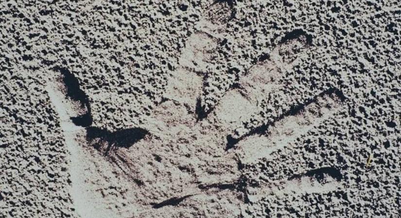 Kiderült, mi a hatodik érzék – mi is rendelkezünk vele