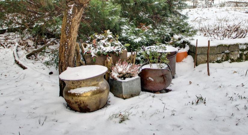 7 dolog, amit mindenki rosszul csinál a fagyvédelemben – és hogyan kerüld el őket