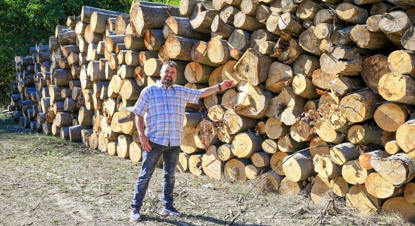 Lesz tűzifa program, hogy mindenki átvészelje a hideget