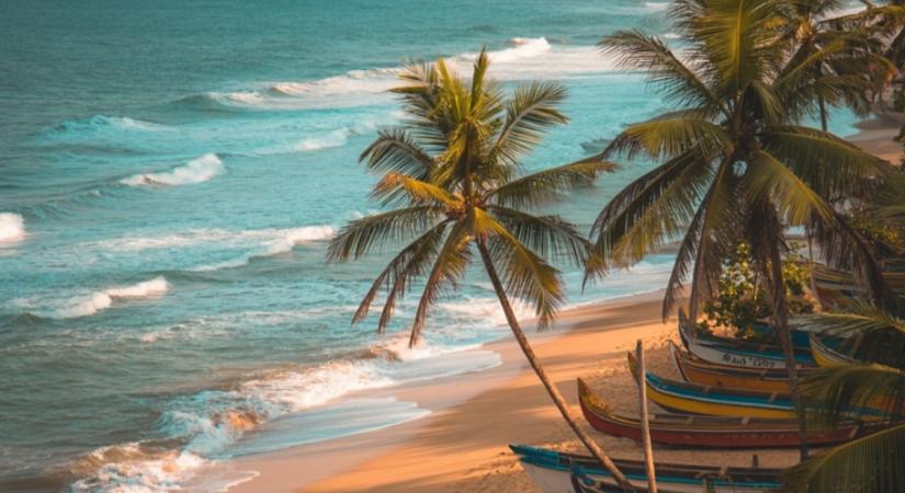 Miért katartikus élmény a magyaroknak az óceán? – A tudomány válaszol