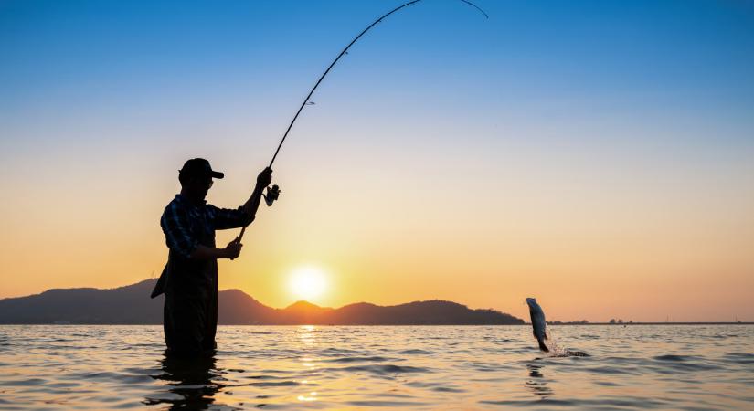 Veszélyes halak jelentek meg a magyar vizekben: egyre többen vannak