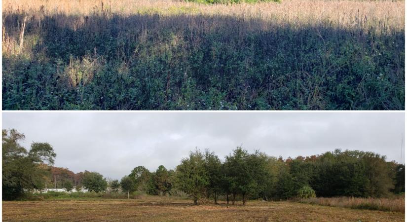 Mint az erdőtűz: össze kell omlania a kriptoszektornak, hogy megint magára találjon