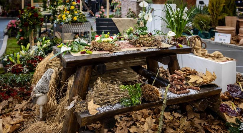 Díszkertészek figyelem: fejlesztési források és új támogatások érhetők el