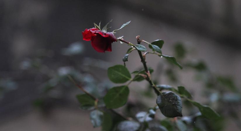 Borús és csapadékos marad az idő holnap is, de jöhet kisebb fordulat