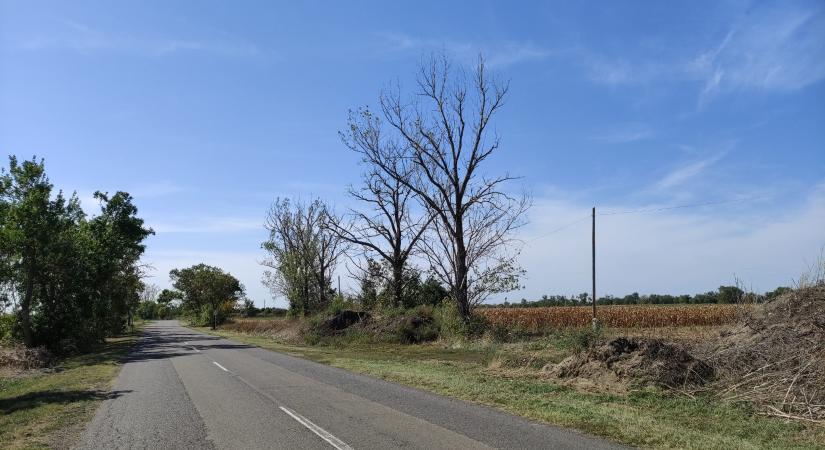 Néhány évtized, és Vásárhely ivóvízellátása is veszélybe kerül