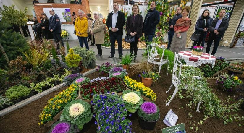 Kecel a virágok fővárosa ezen a hétvégén – fotók, videó