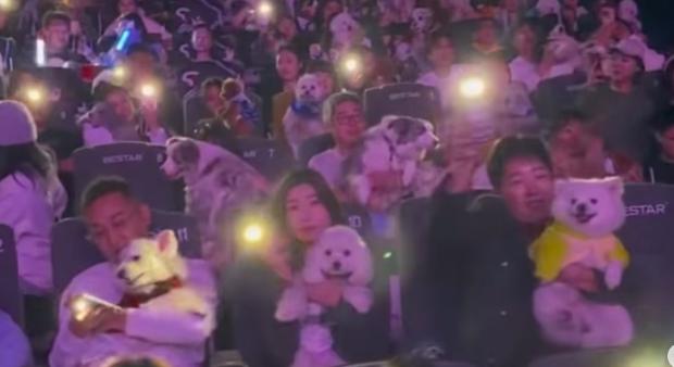 Ellepték a háziállatok a mozikat, a Zootropolis 2. kínai vetítésénél aranyosabbat rég nem láttunk