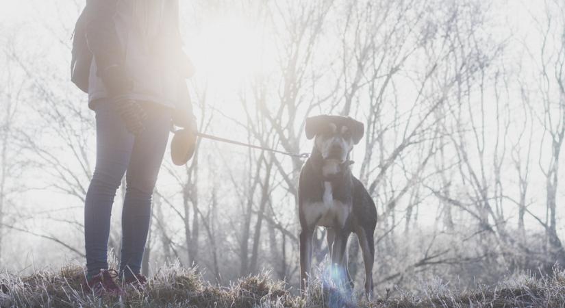 Novembert idéző december