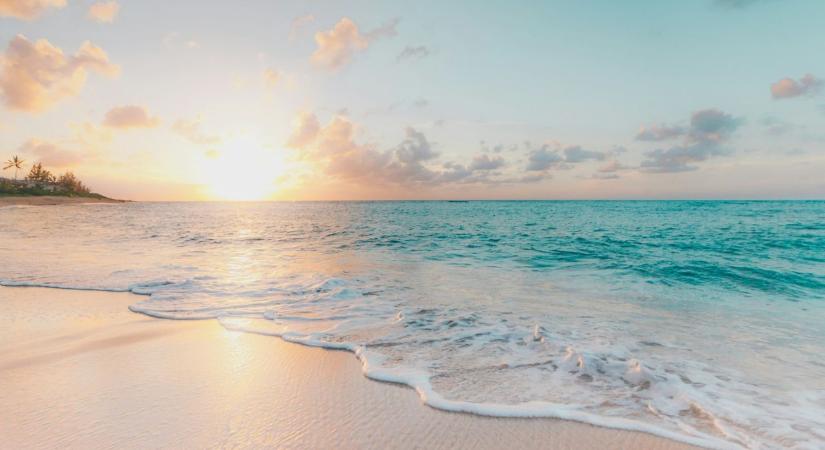 Senki se érti, miért: mérges kígyók lepték el Ausztrália partjait