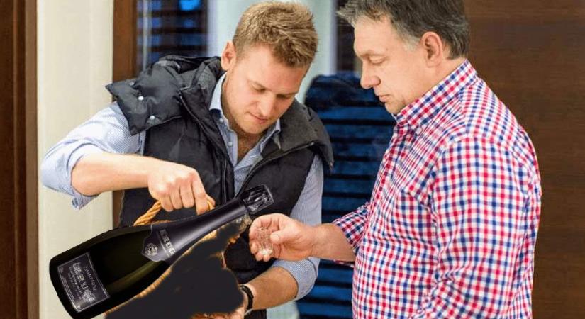 Tiborcz-közeli magántőkelappal kötött nagyjából 32 milliárdos üzletet a Mol