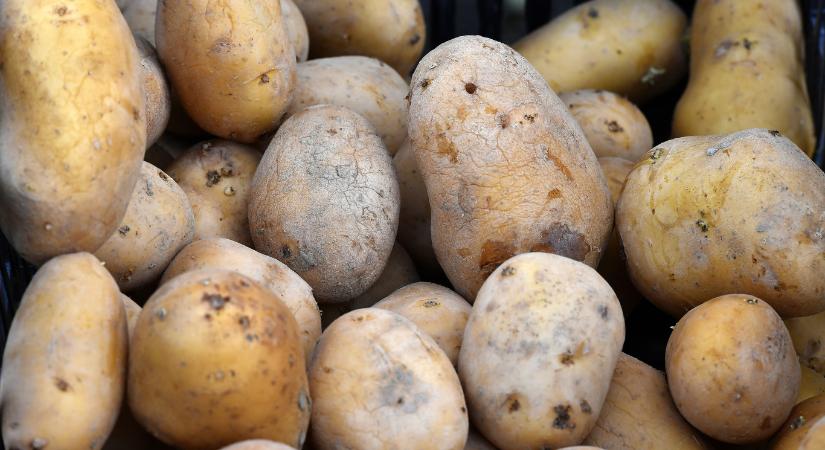 Szigorítaná a Fidesz a külföldi finanszírozás tiltását a választás előtt