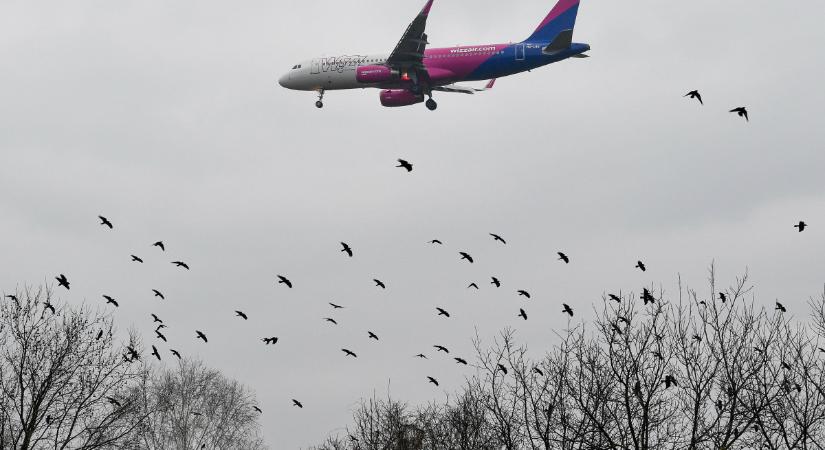 Újraindít három debreceni járatot jövőre a Wizz Air