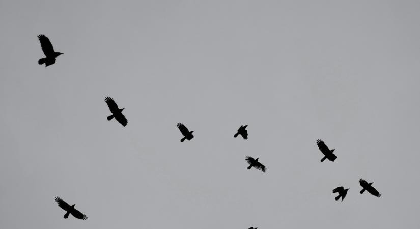 Ezen az időjáráson még a Mikulás is megdöbben