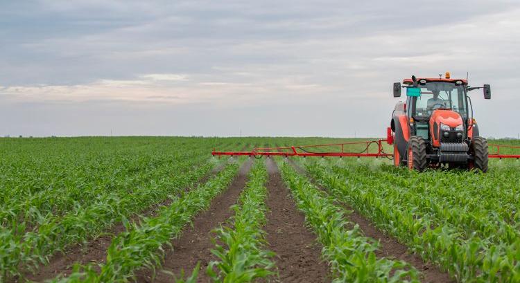 Adatszolgáltatás: nem kell mindent átadni a hatóságnak