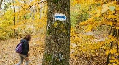 Vége az úttalan utaknak – Megjelent a hivatalos Kéktúra-app