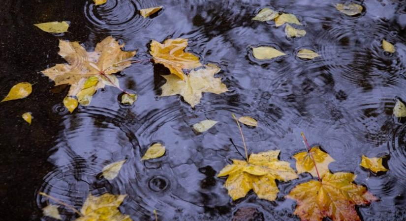 Nem szánon jön és melege lesz a Mikulásnak