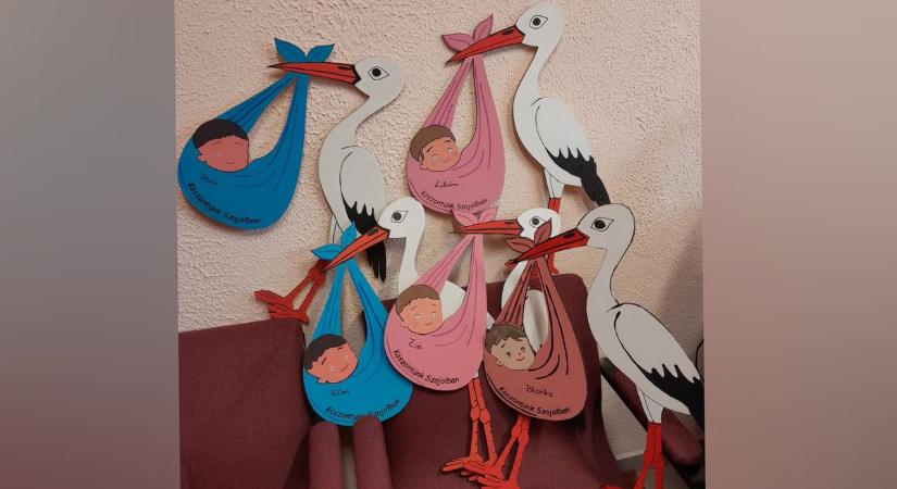 Szajolban decemberben is „repülnek” a gólyák