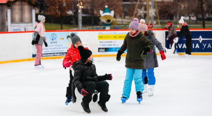 Jég veled! Összefogásból dermedt örömmé a különleges attrakció (galéria, videó)