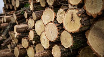 Csalók tűzifát árulnak az E.ON nevében – fontos figyelmeztetés a lakosságnak