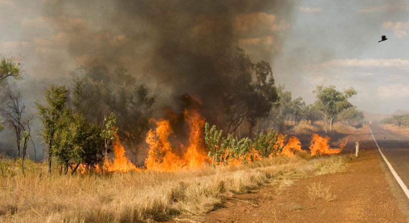 Emberek ezreit szólították fel otthonaik elhagyására Ausztráliában a pusztító tüzek miatt