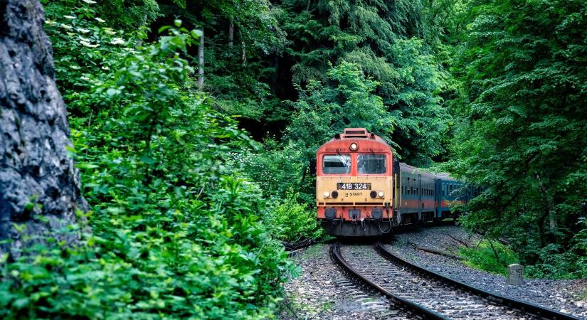 A MÁV szó nélkül tüntette el az egyik legnépszerűbb kedvezményét