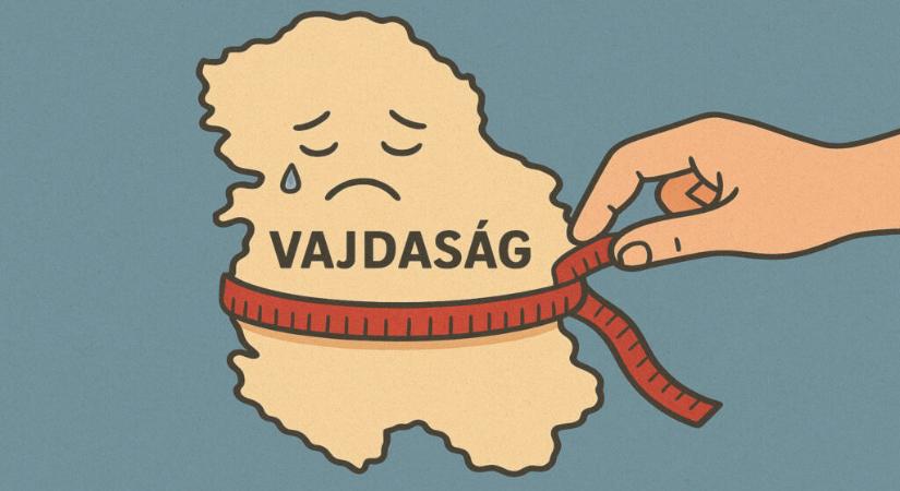 „Az SNS–VMSZ–SPS hatalmi koalíció diétára fogta Vajdaságot”