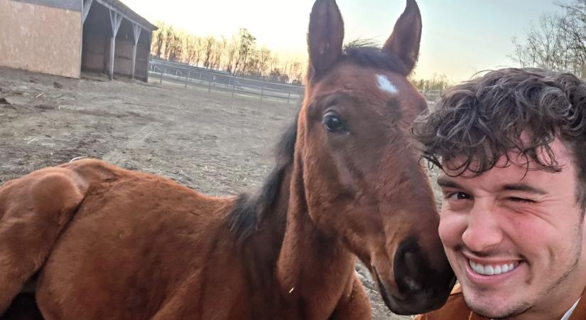 Falovon kutyagol, vagy igazin üget: Gyuri gazda igaz magyarként üli meg a bármilyen lovat