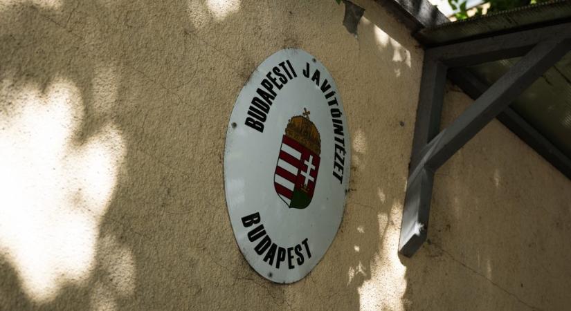 Bűnügyi felügyeletbe került a Szőlő utcai javítóintézet ügyvezetője, négy hónapig a lakását sem hagyhatja el