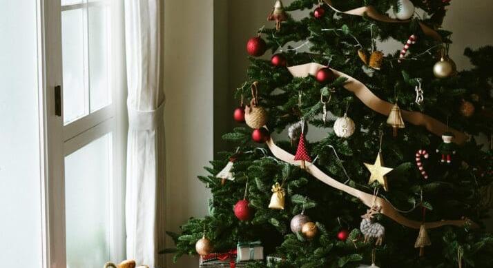 Indul a karácsonyfa árverseny – Mennyibe kerülnek a fenyőfák? Mutatjuk az árakat