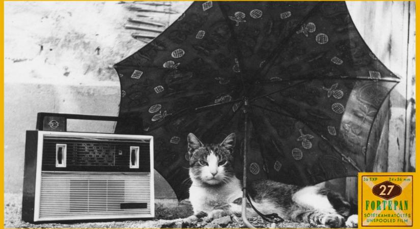 Száz éve szól a rádió – Nemzetegyesítés, propagandaeszköz, tömegszórakoztatás