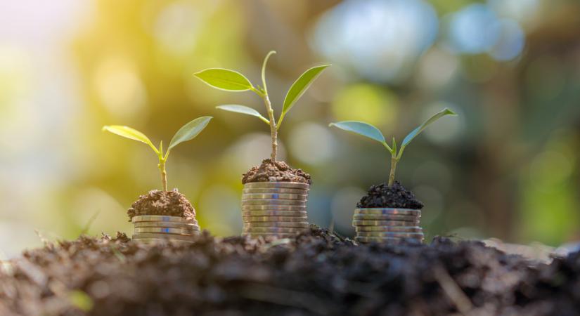 Milliárdos projekt a Bükkben: nem akármire költik a pénzt