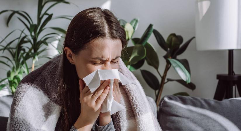 A szakértő szerint ez a 3 gyakori hiba tovább súlyosbíthatja a megfázást és az influenzát