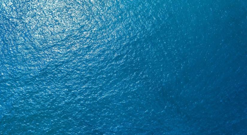 7 napig hánykolódott a tengeren két tinédzser, majd megjelentek a cápák