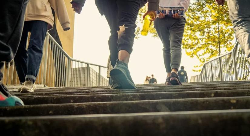 Nem kell edzőterem: ez a néhány hétköznapi mozdulat is életet menthet