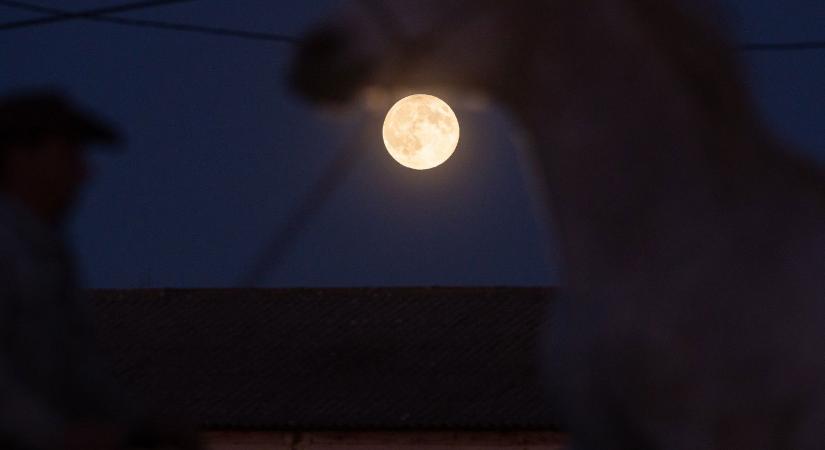 Rémisztő, hogy mit tettek a honfoglaló magyar harcos lovával, még a régészek is irtózva emelték ki a leletet