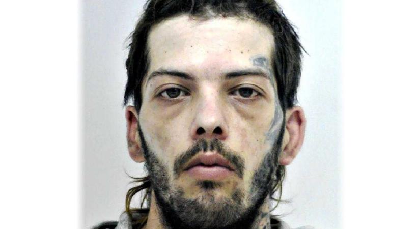 A nők álma, mégis lopásért körözik a modellalkatú bűnözőt