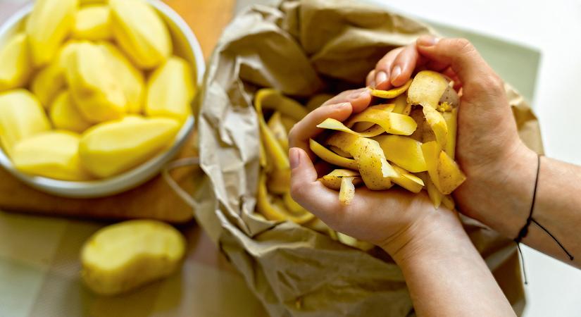 Kisebb csodára képes a krumplihéj, ha víztisztításról van szó