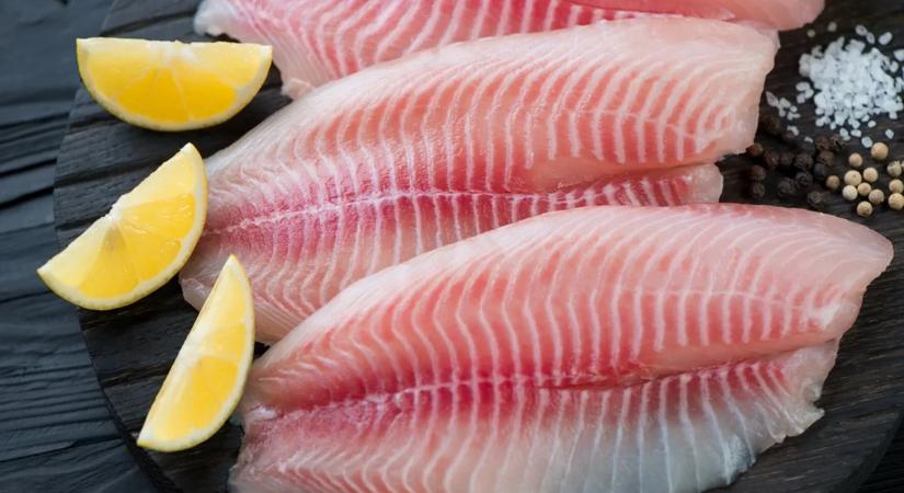 Tilápia: olcsó, finom – de egészséges is?