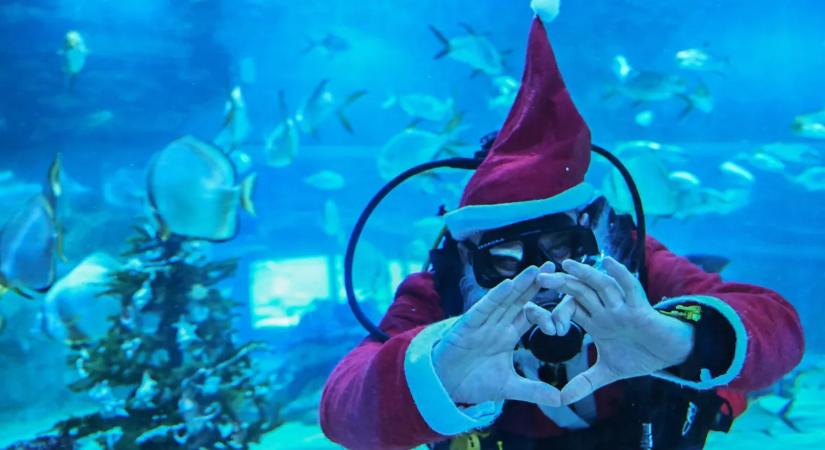 Így érkezett meg a világ minden részére a Mikulás, elképesztő pillanatok a galériában