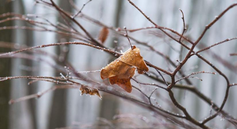 Milyen idő lesz vasárnap Fejér vármegyében?
