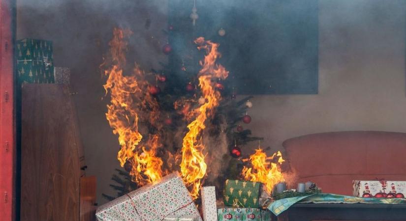 Karácsonyfa-kisokos: így óvd az otthonod a téli ünnepek alatt!