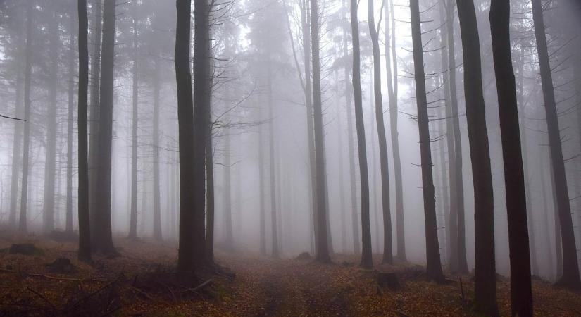 Szórványosan eshet az eső